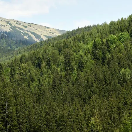Goral & * Bukovel