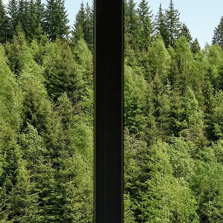 Hotel Goral & Bukovel