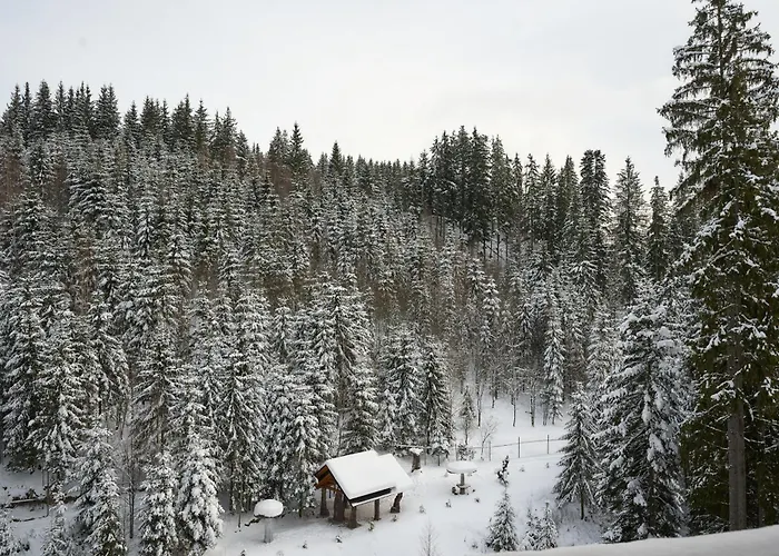 Goral & Hotel